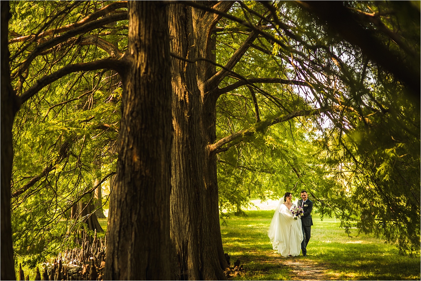 Forest Park St Louis Wedding Photos