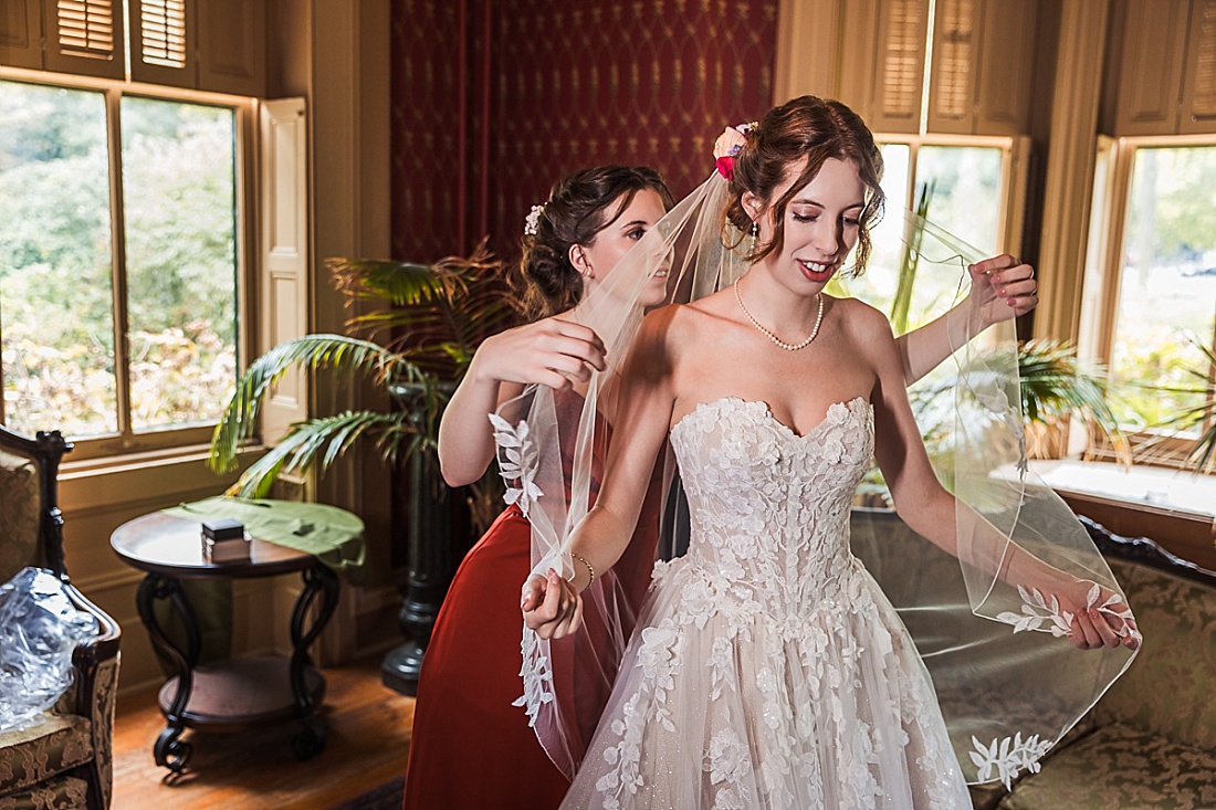 St Louis Wedding Photography at Piper Palm House and Tower Grove Park Ruins