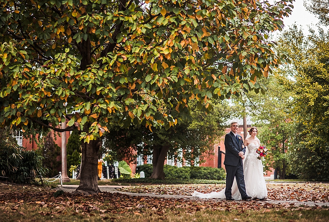 St Louis Wedding Photography at Piper Palm House and Tower Grove Park Ruins