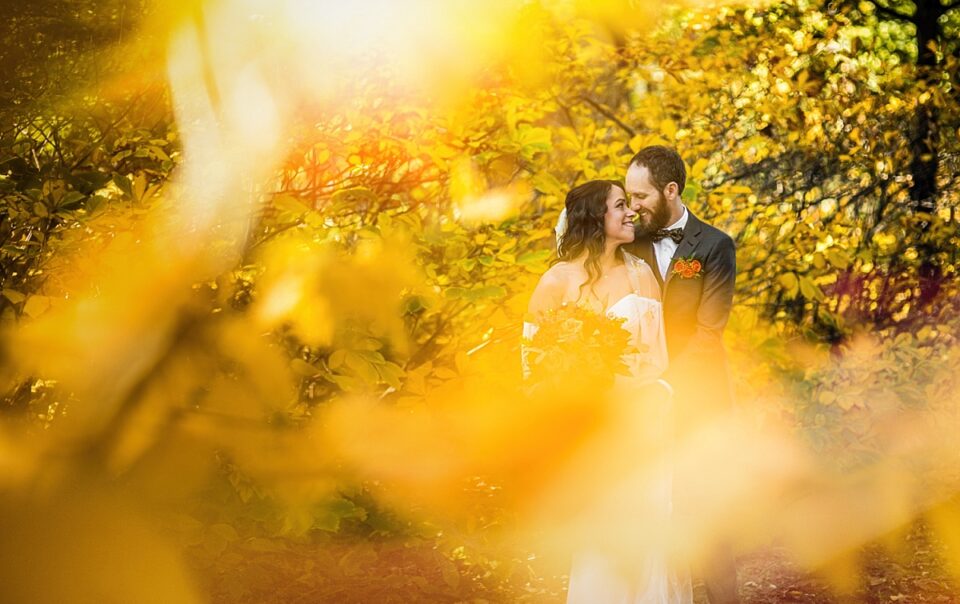 st louis wedding photo at missouri botanical garden