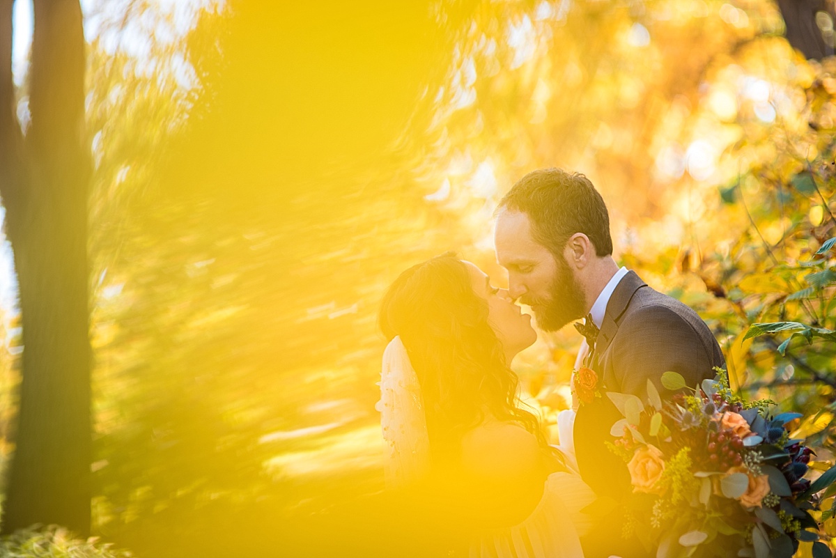 st louis wedding photo at missouri botanical garden