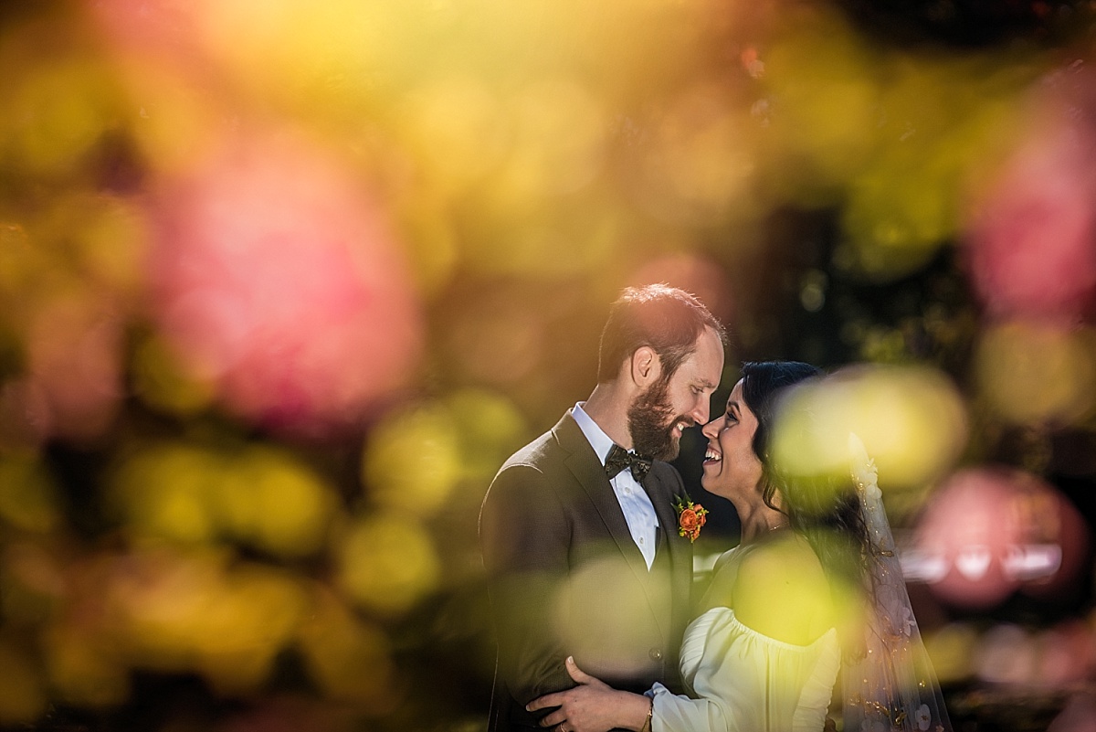 st louis wedding photo at missouri botanical garden